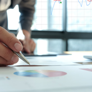 Informe de Noviembre 2022