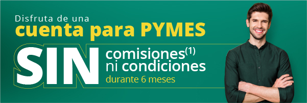 Clientes PYMES Clientes PYMES