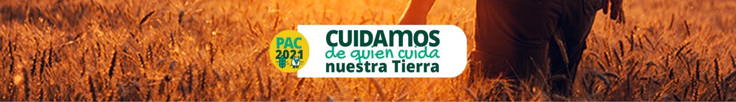 Campaña - PAC 2021 - Hombre acariciando el trigo paseando por el campo