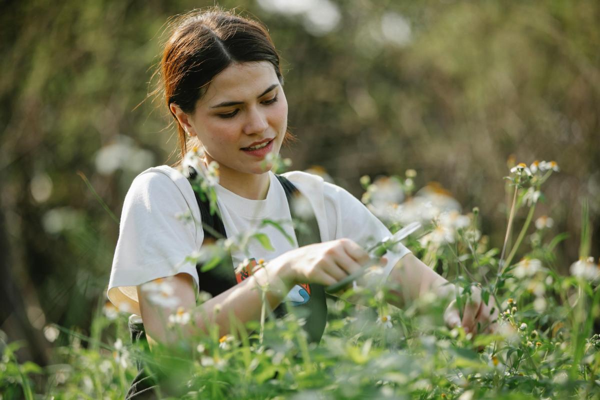 Conoce el Programa Cultiva para jóvenes agricultores y ganaderos Conoce el Programa Cultiva para jóvenes agricultores y ganaderos