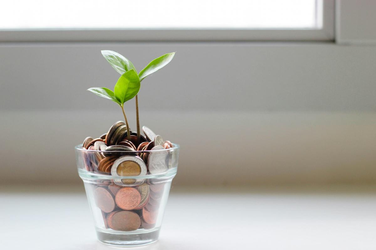 Ahorro Ahorro